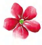 Gobo 1009