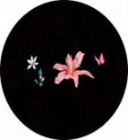 Gobo 1012