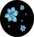 Gobo 1060