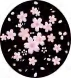 Gobo 1075