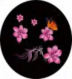 Gobo 1077