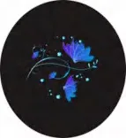 Gobo 1111