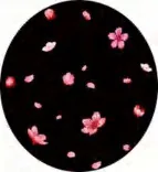 Gobo 1148
