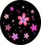 Gobo 1149