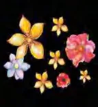 Gobo 1159