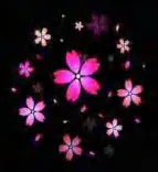 Gobo 1162