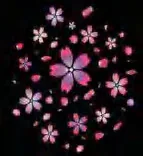 Gobo 1166