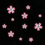 Gobo 1173