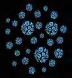 Gobo 1178