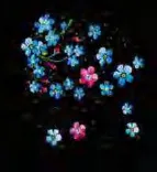 Gobo 1197
