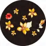 Gobo 1205