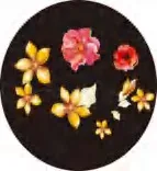 Gobo 1207