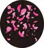 Gobo 1225