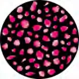 Gobo 1227