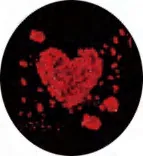 Gobo 1241