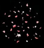 Gobo 1260