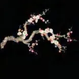 Gobo 1294