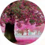Gobo 1304