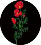 Gobo 1312