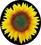 Gobo 1326