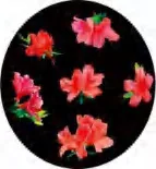 Gobo 1331