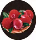 Gobo 1350