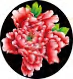 Gobo 1361