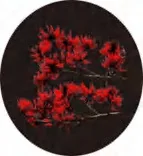 Gobo 1365