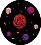 Gobo 1416
