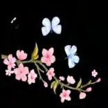 Gobo 1444