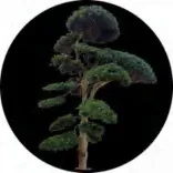 Gobo 1474