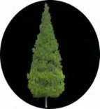 Gobo 1478