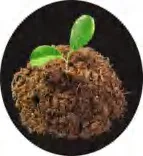 Gobo 1504