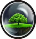 Gobo 1506
