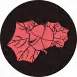 Gobo 1525