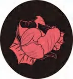Gobo 1527