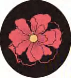 Gobo 1529