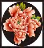 Gobo 1538