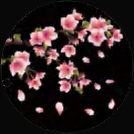 Gobo 1541
