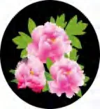 Gobo 1546