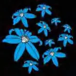 Gobo 1555