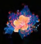 Gobo 1573