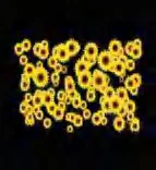 Gobo 1587