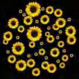Gobo 1595