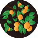 Gobo 1606