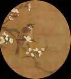 Gobo 1634