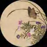 Gobo 1635