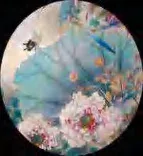 Gobo 1643