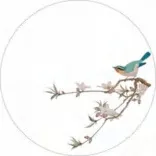 Gobo 1658