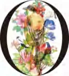 Gobo 1666